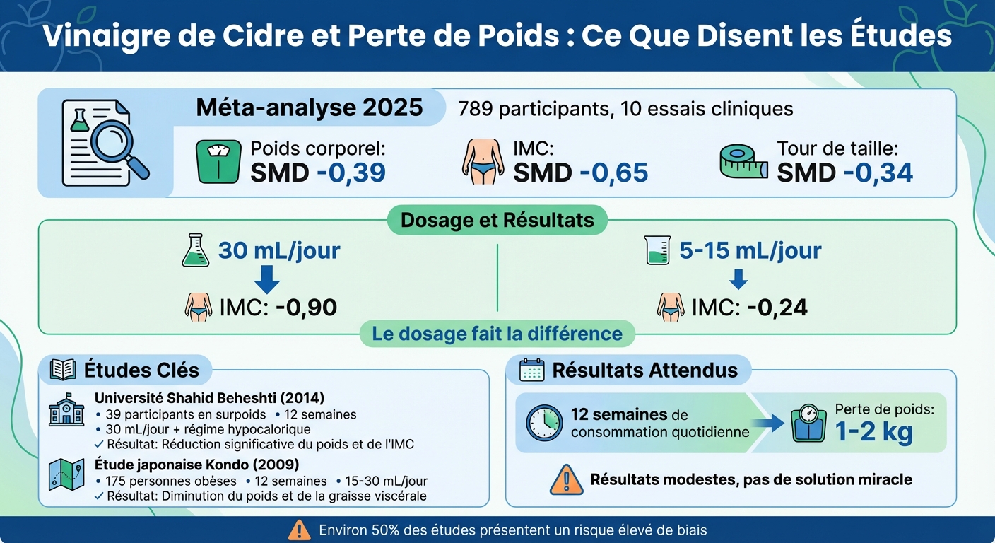 Vinaigre de Cidre et Perte de Poids : Résultats d'Études Scientifiques