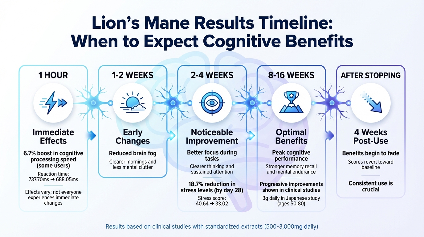 Lion's Mane Cognitive Benefits Timeline: What to Expect from 1 Hour to 16 Weeks