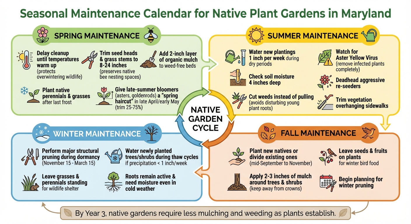 Year-Round Native Plant Maintenance Calendar for Maryland Gardens