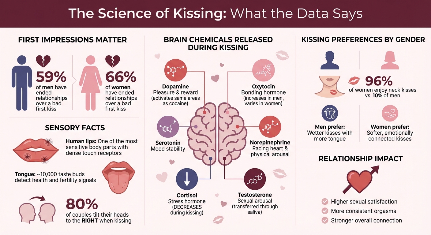 The Science of Kissing: Key Statistics and Brain Chemistry