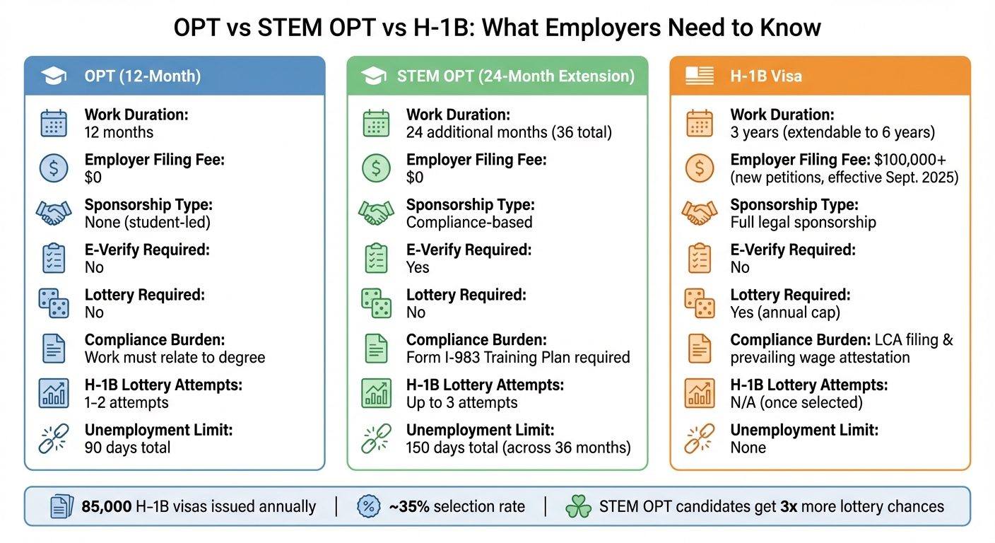 OPT vs STEM OPT vs H-1B Visa Comparison for Employers