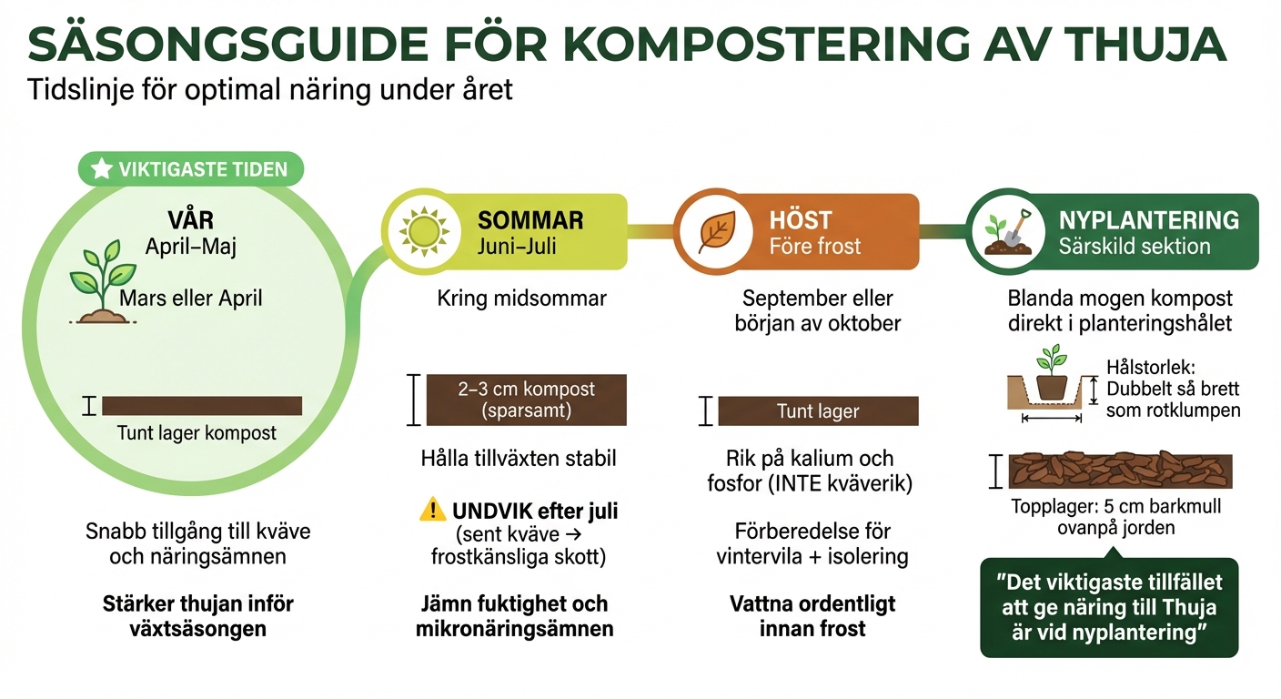 Säsongsvisa riktlinjer för kompostering av thuja