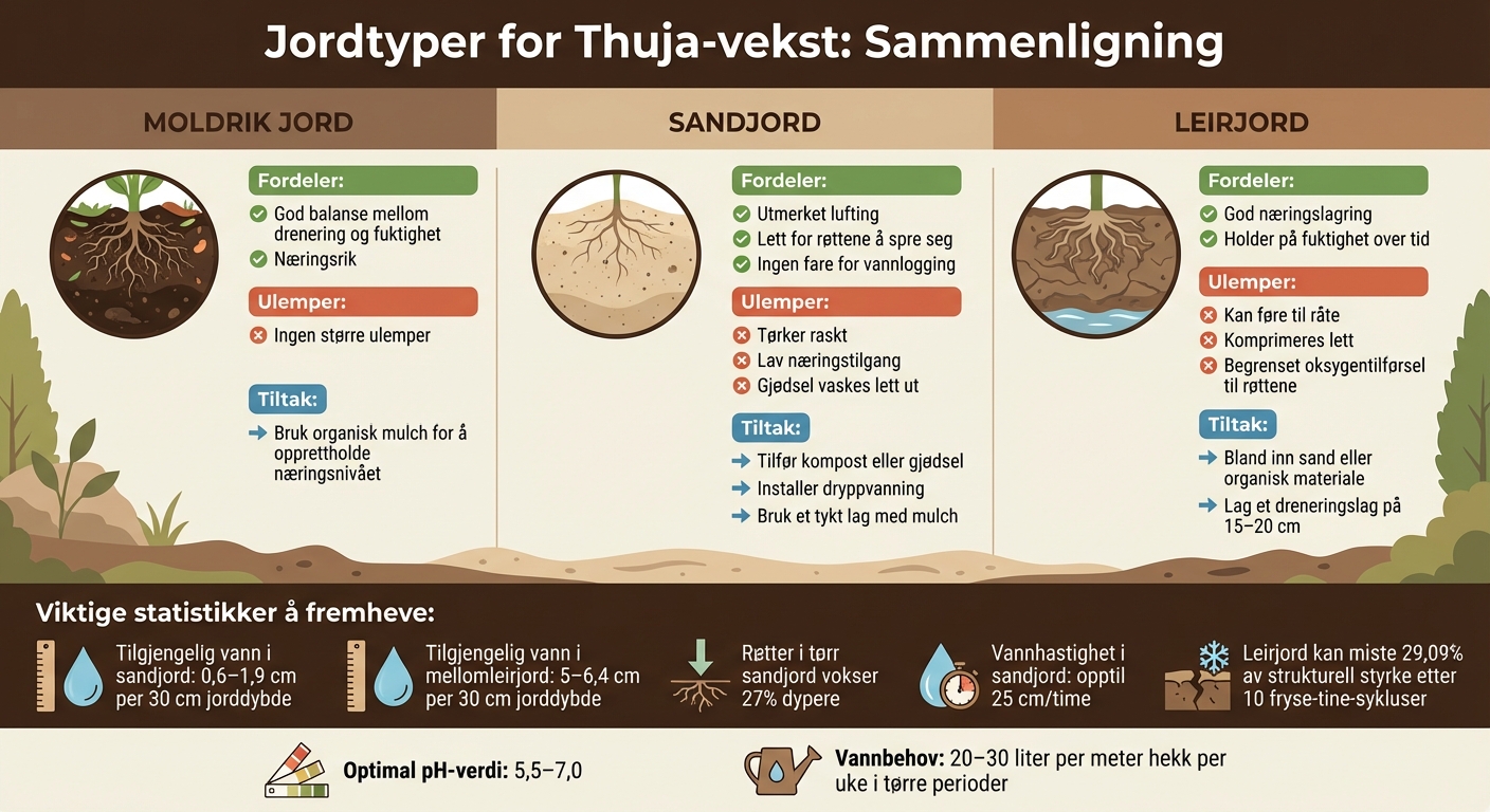 Sammenligning av jordtyper for thuja: fordeler, ulemper og tiltak