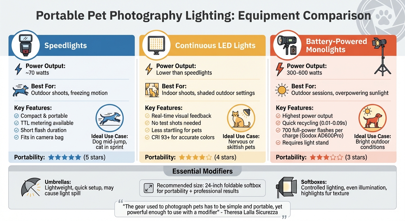 Portable Pet Photography Lighting Types Comparison Chart