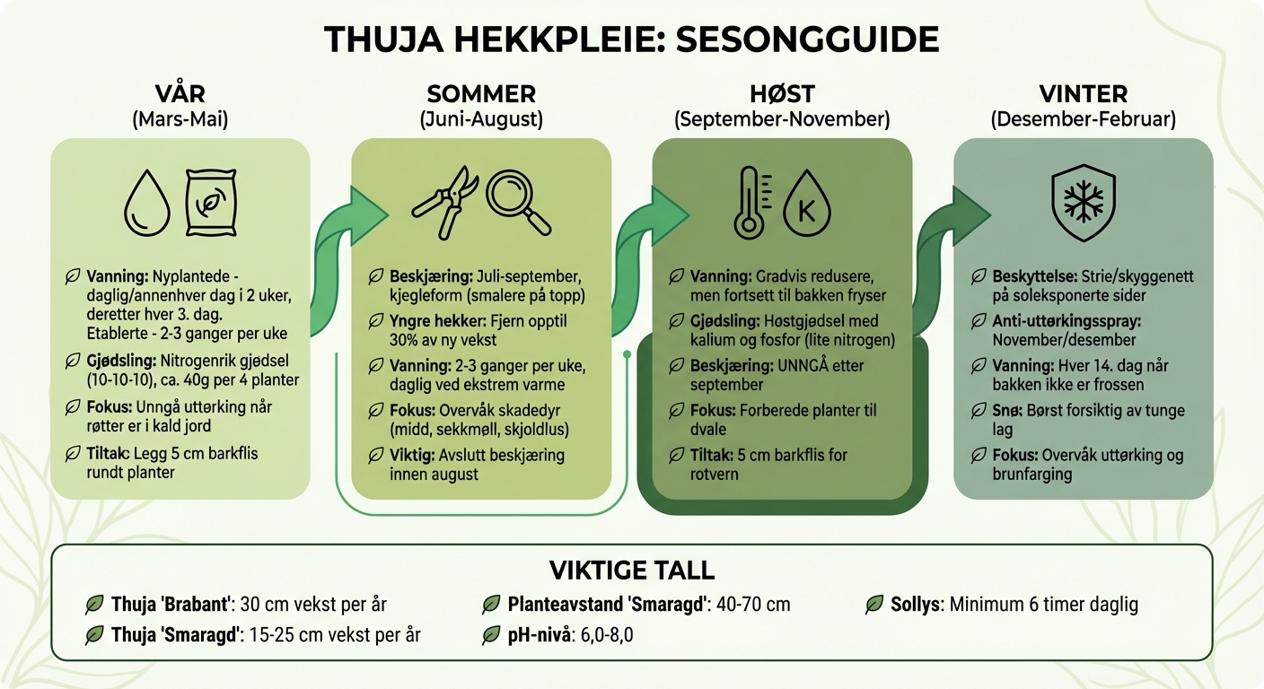 Sesongpleie for Thuja: Årlig vedlikeholdsguide