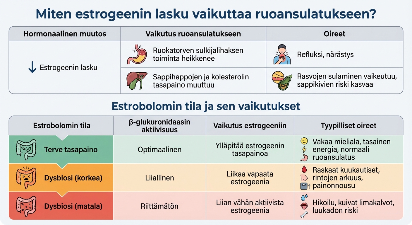 Estrogeenin vaikutus ruoansulatukseen ja estrobolomin tasapainotilat