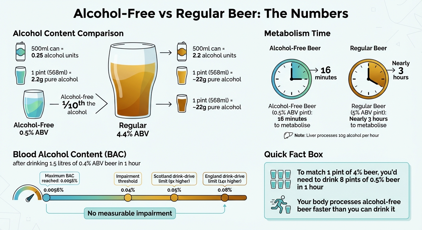 Alcohol-Free vs Regular Beer: ABV, Alcohol Content, and Metabolism Time Comparison