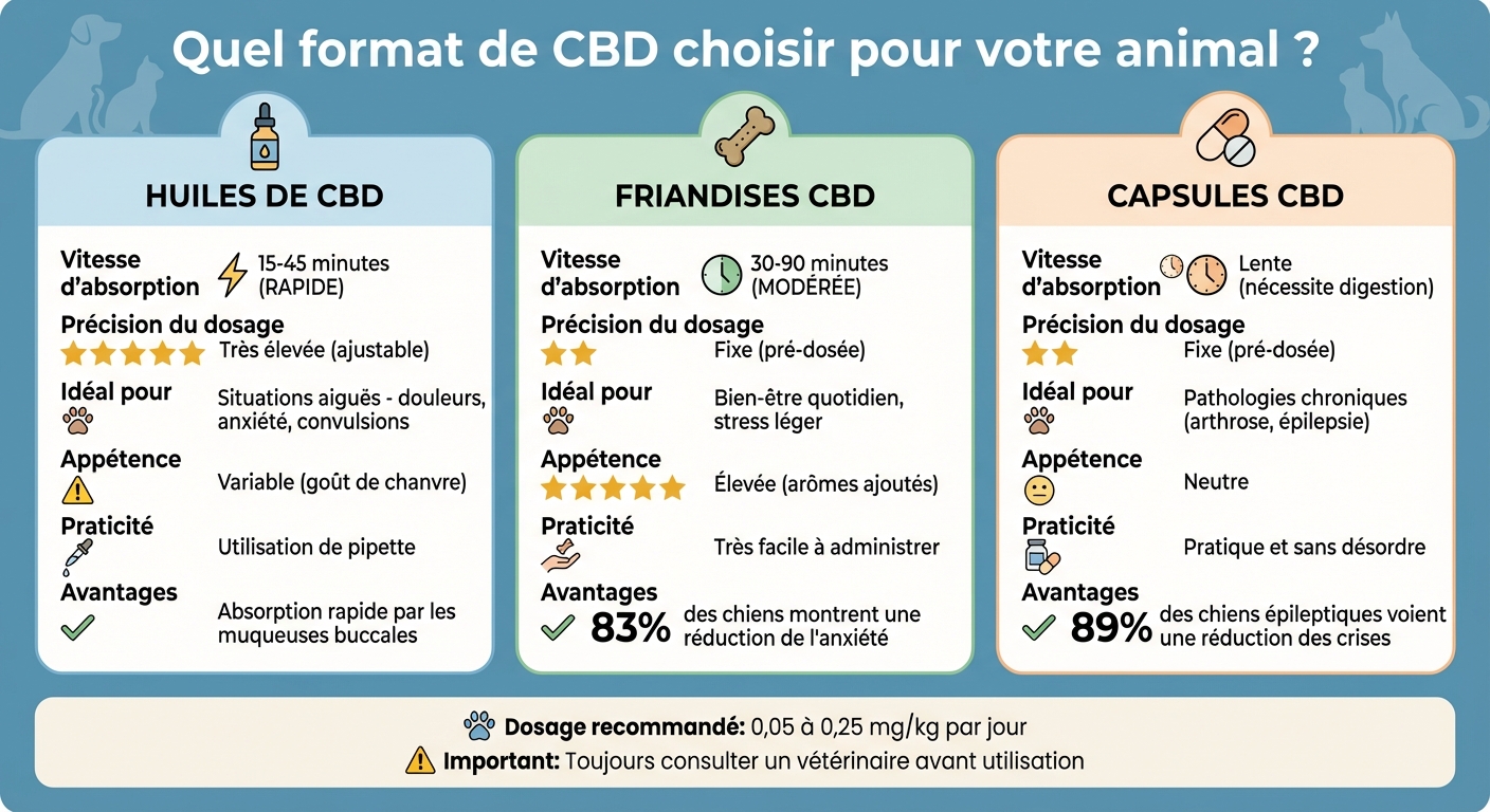 Comparaison des formats de CBD pour animaux : huiles, friandises et capsules