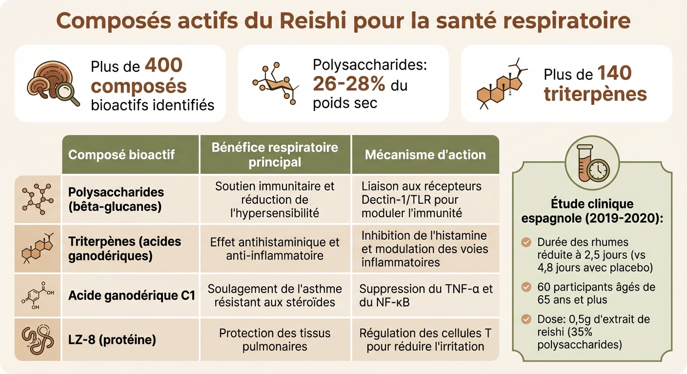 Composés bioactifs du reishi et leurs mécanismes d'action sur la santé respiratoire
