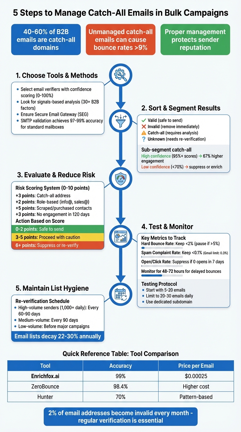 5-Step Process for Managing Catch-All Emails in Bulk Campaigns