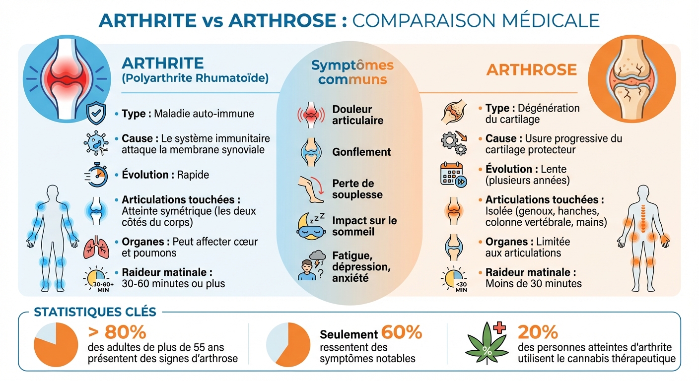 Arthrite vs Arthrose : différences clés, symptômes et impacts