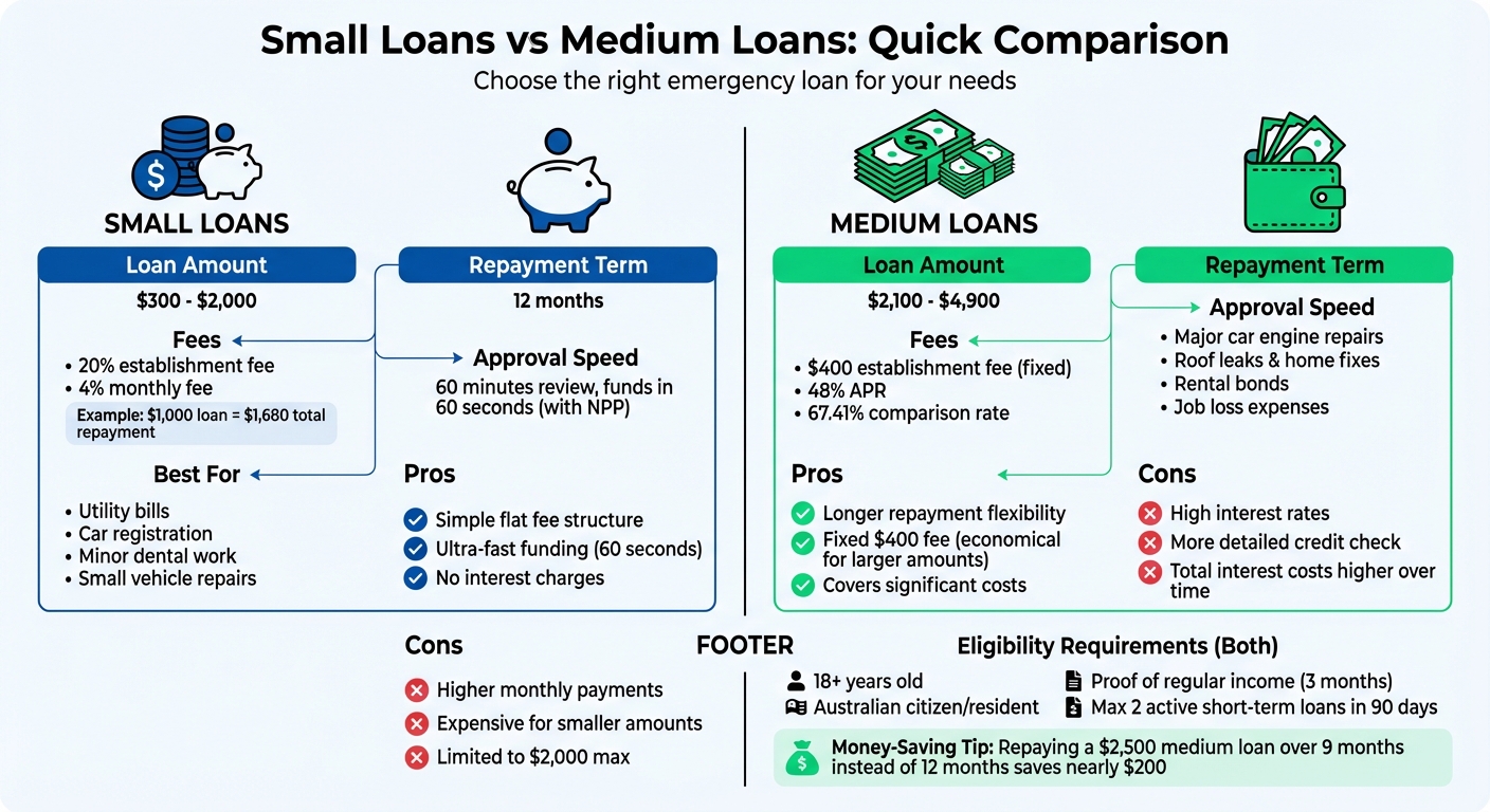 Small vs Medium Emergency Loans Comparison Chart