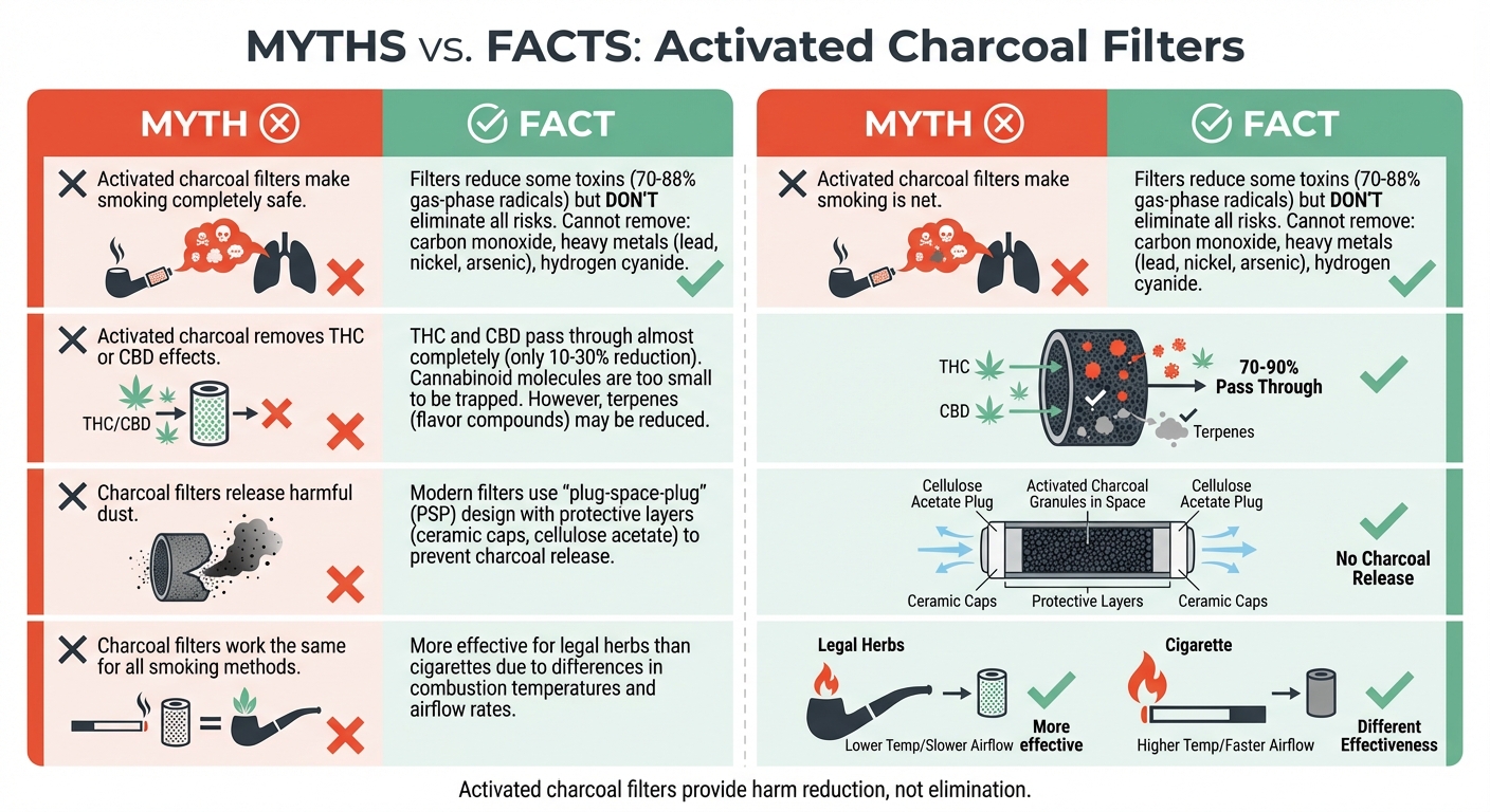 Activated Charcoal Filters: Myths vs Facts Comparison
