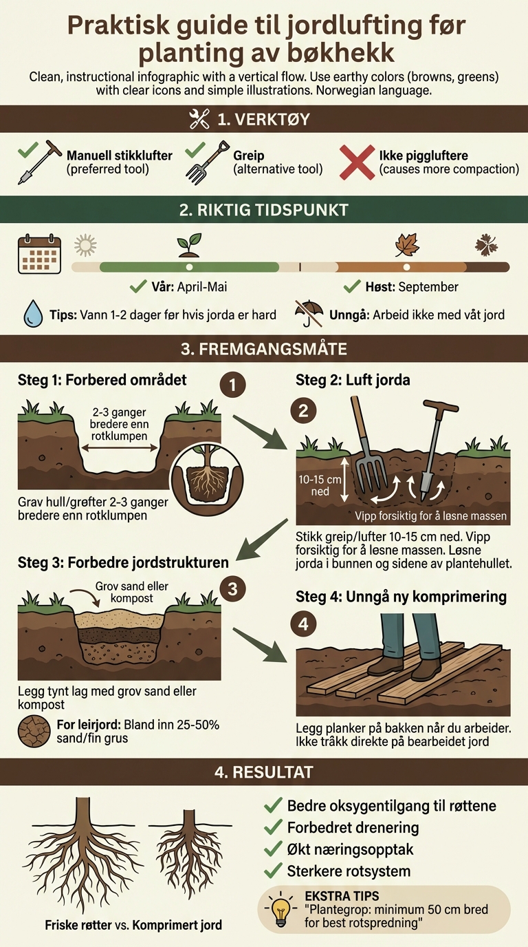 Slik lufter du jorda før planting av bøkhekk - trinn-for-trinn guide