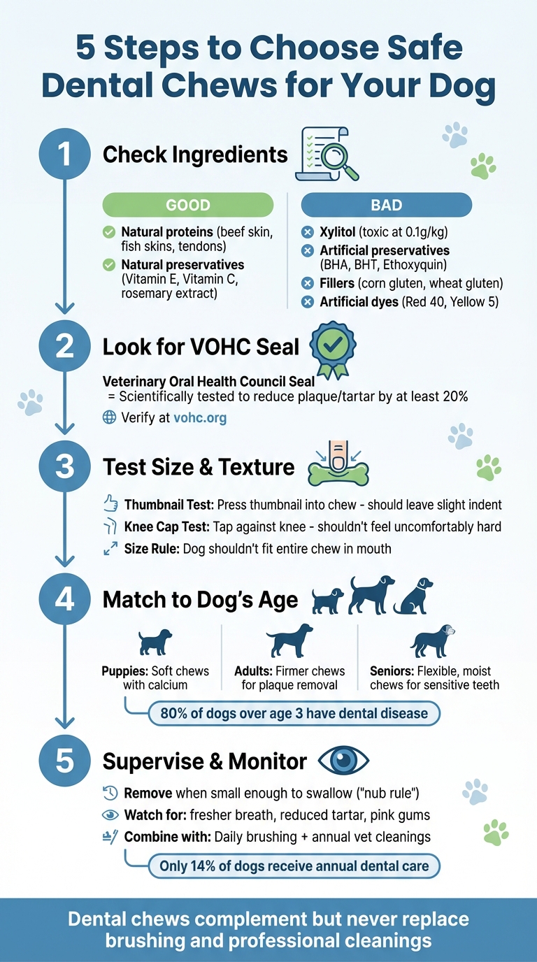 5-Step Guide to Choosing Safe Dental Chews for Dogs