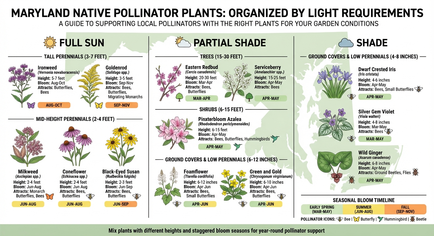Native Maryland Pollinator Plants by Light Requirements and Bloom Season
