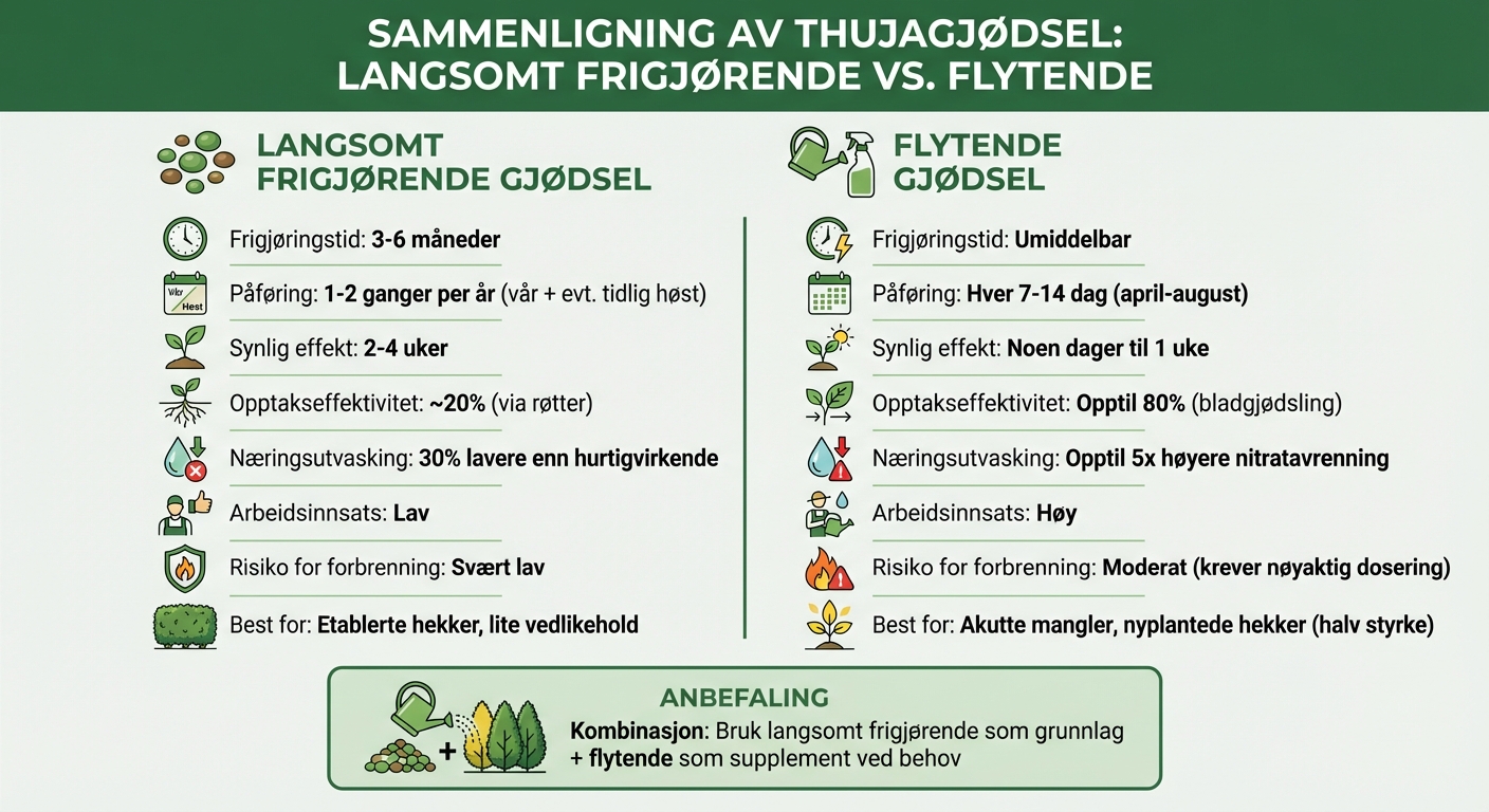 Sammenligning av langsomt frigjørende vs flytende gjødsel for Thuja