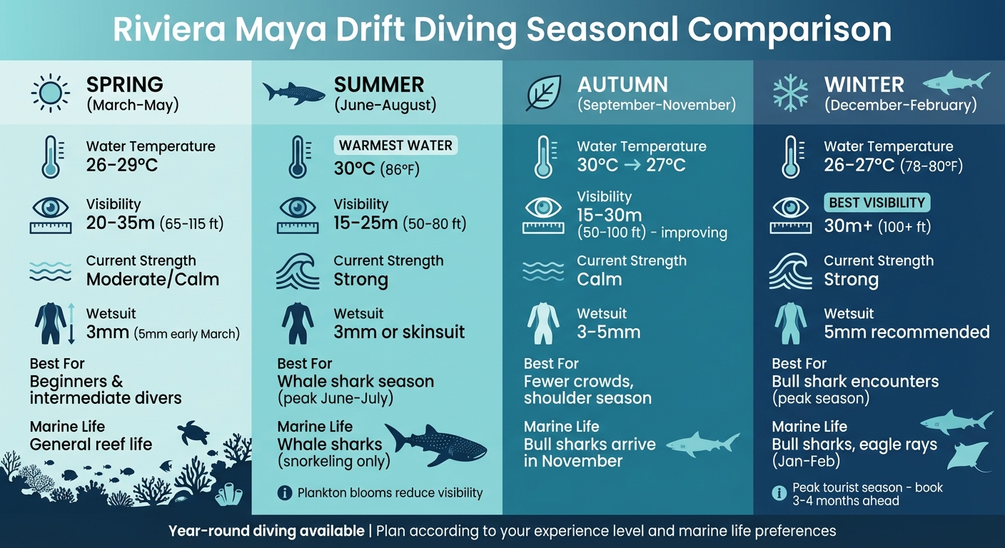 Riviera Maya Drift Diving Seasonal Conditions Guide