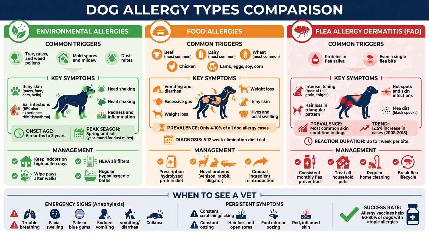 Dog Allergy Types: Symptoms, Causes and Treatments Comparison Chart