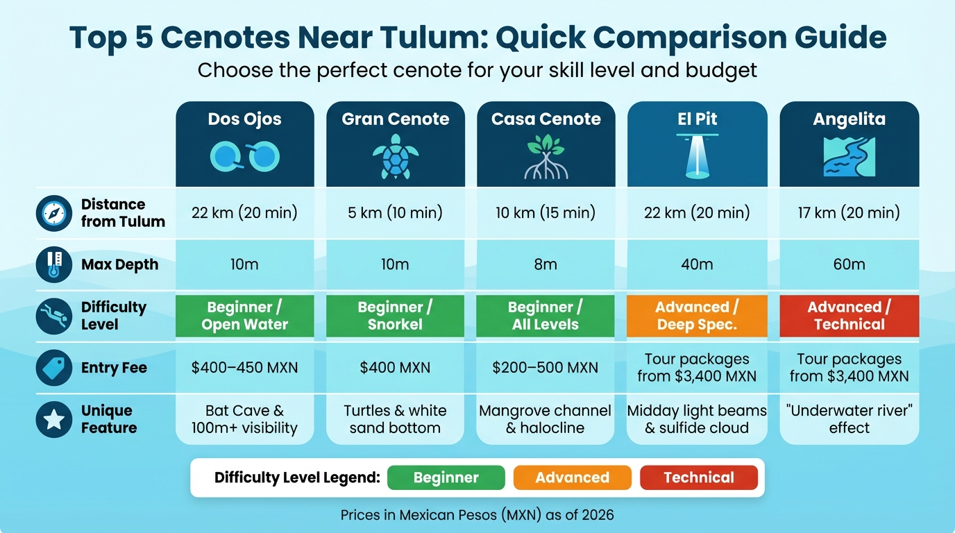Top 5 Cenotes Near Tulum: Comparison Chart for Diving and Snorkeling