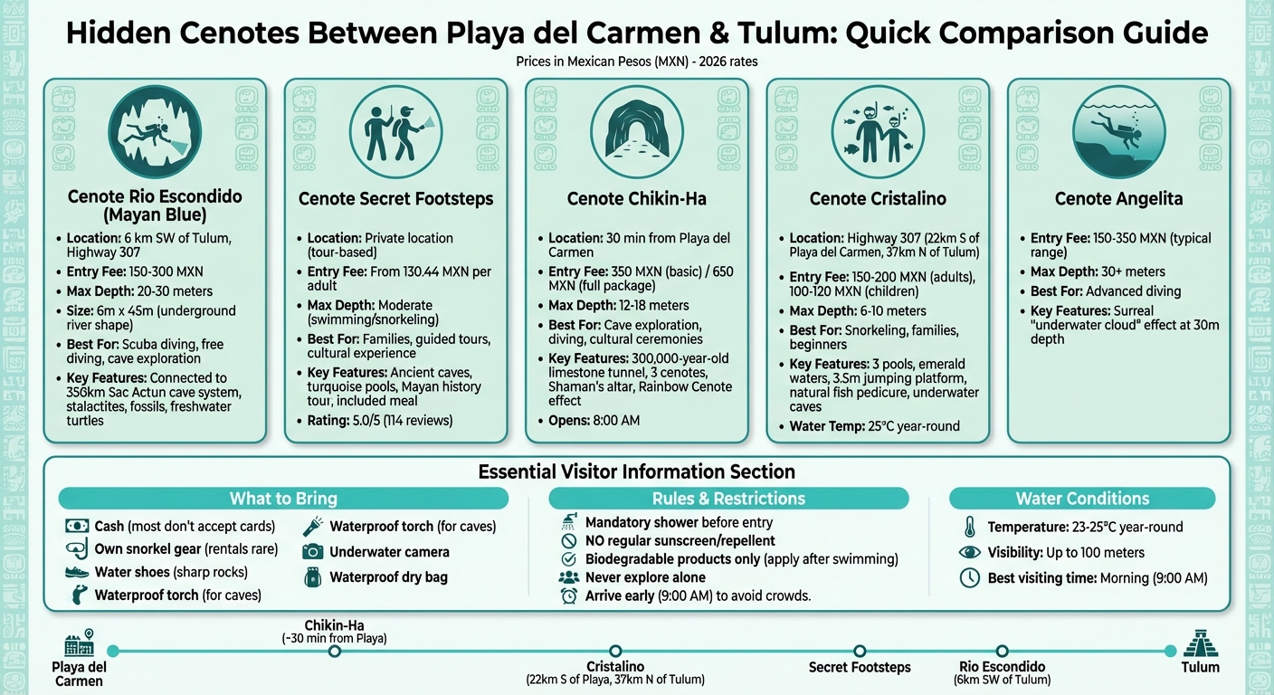 Hidden Cenotes Comparison: Entry Fees, Depths, and Activities Guide