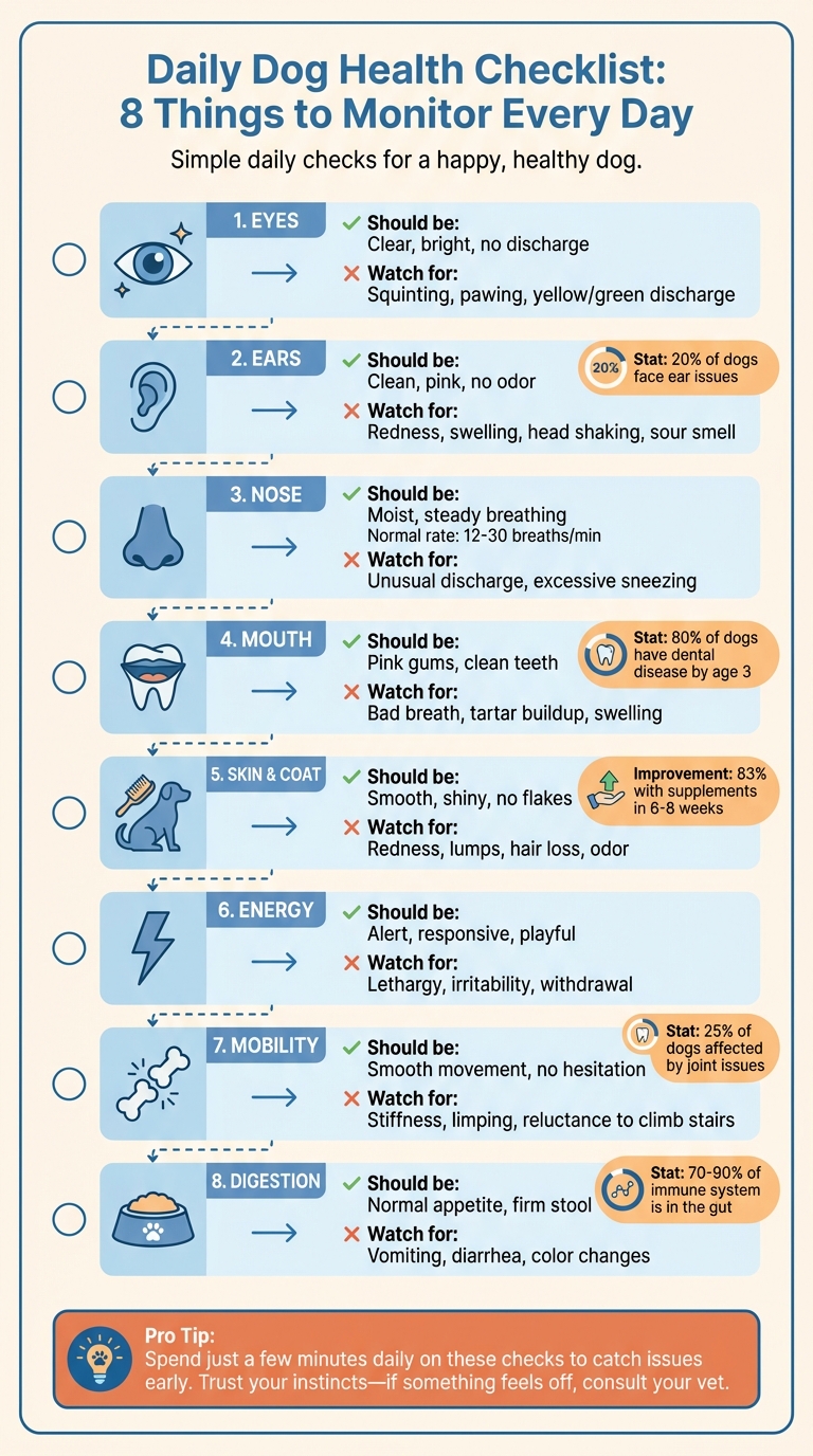 Daily Dog Health Checklist: 8 Essential Areas to Monitor