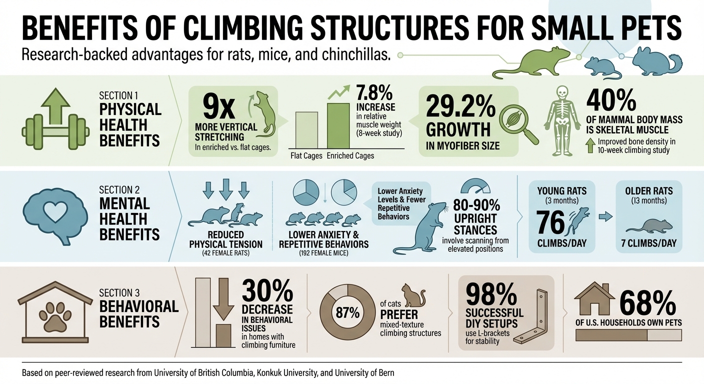 Health Benefits of Climbing Structures for Small Pets: Key Research Findings