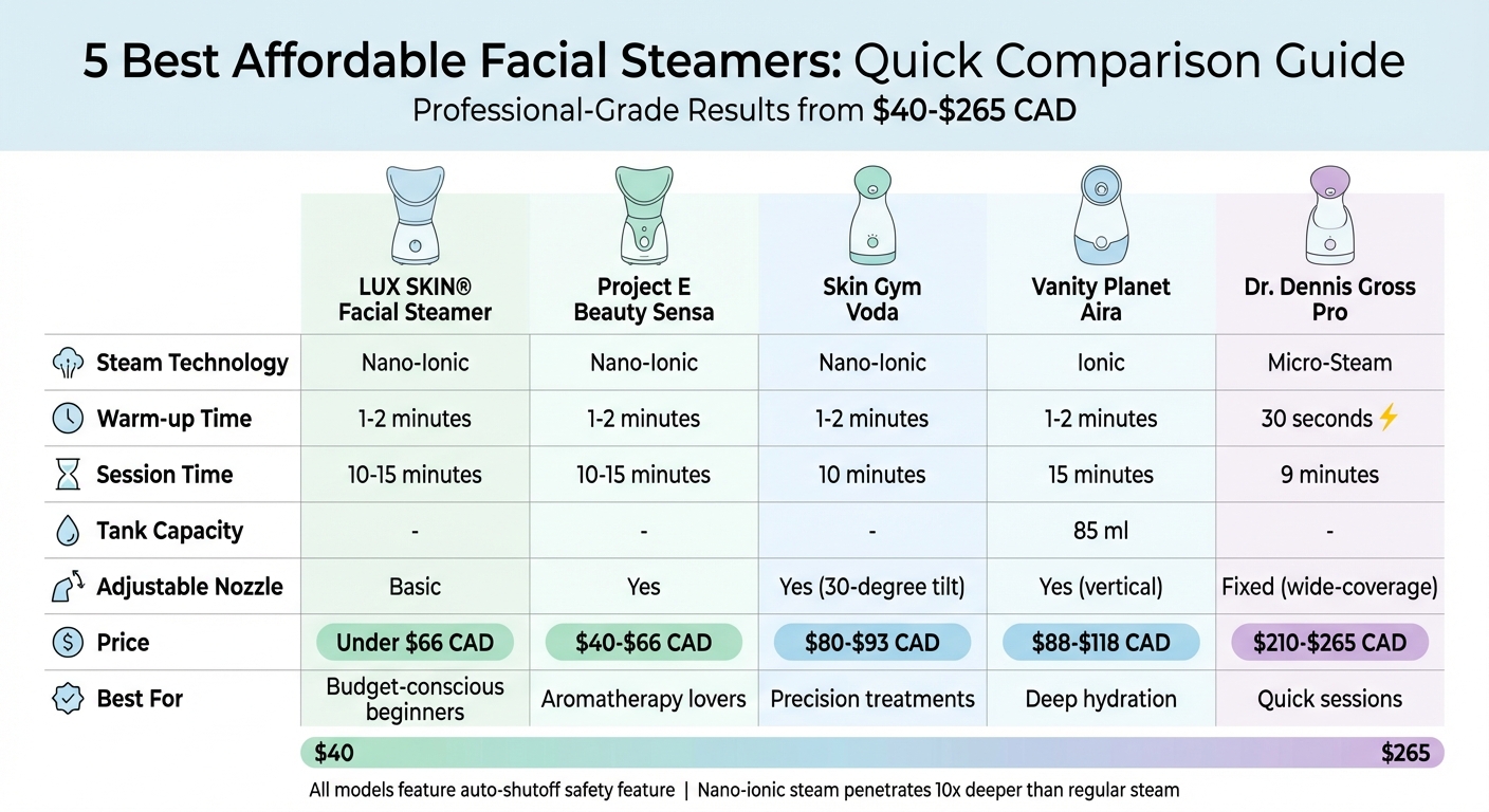 Affordable Facial Steamer Comparison: Features and Prices