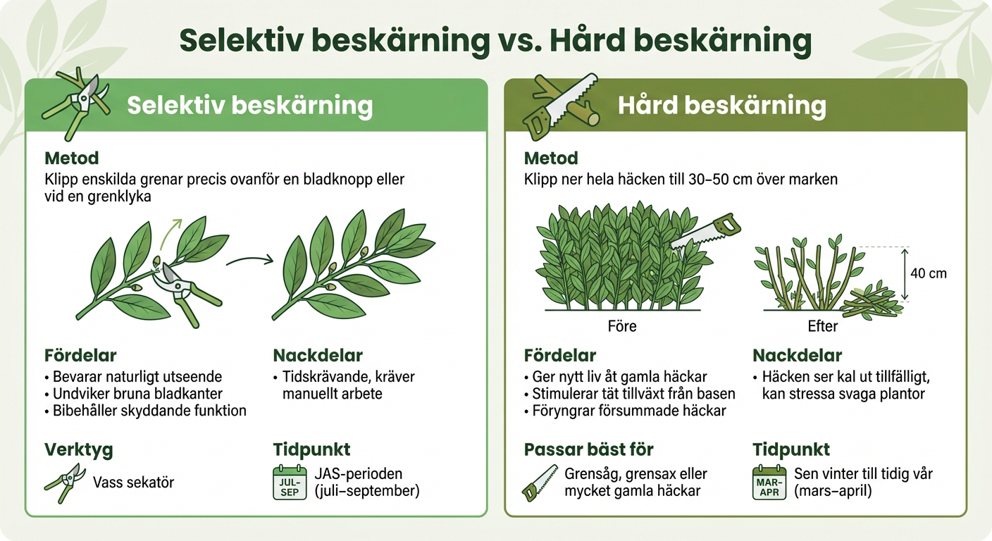 Selektiv beskärning vs hård beskärning av lagerhägg - jämförelse