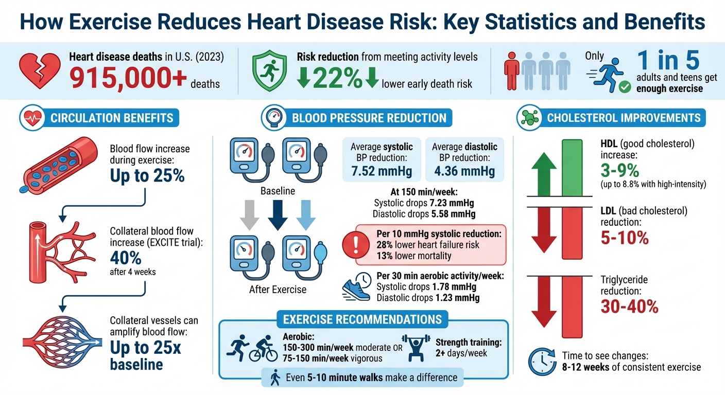 How Exercise Reduces Heart Disease Risk - My Cardiologist | The best ...