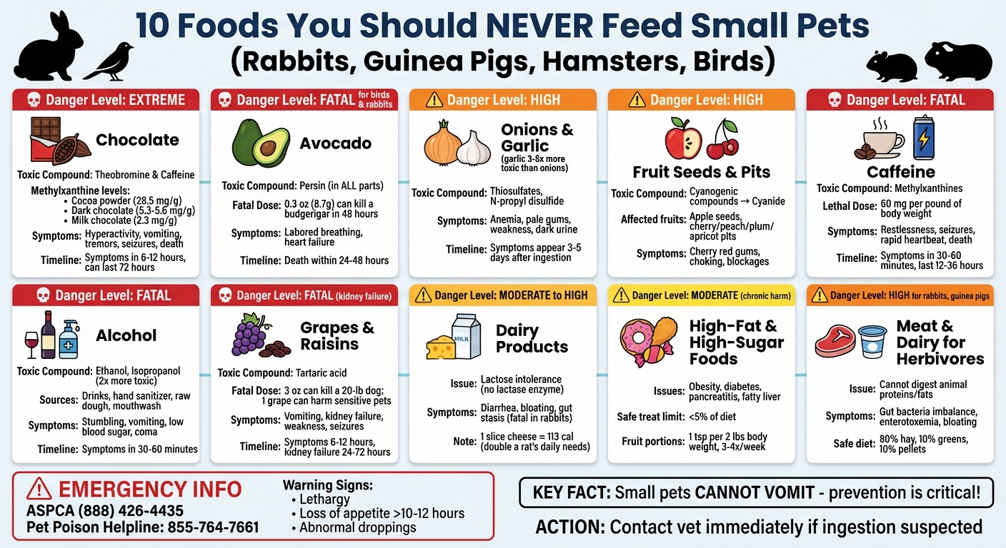 10 Toxic Foods for Small Pets: Dangers and Symptoms Guide