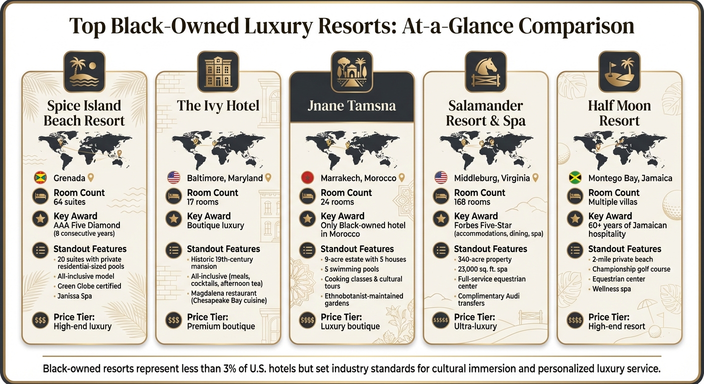 Black-Owned Luxury Resorts Comparison: Amenities, Features and Pricing