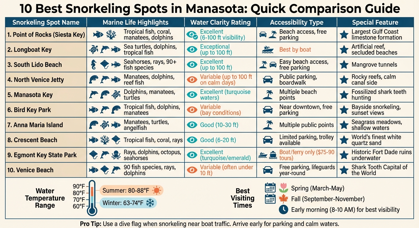 Manasota Snorkeling Spots Comparison: Marine Life, Accessibility & Features