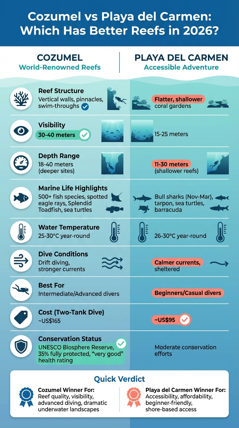 Cozumel vs Playa del Carmen Diving Comparison 2026