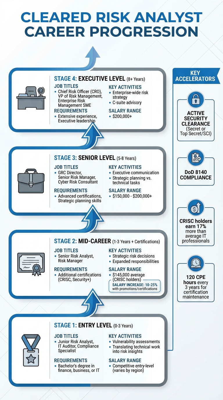 Risk Analyst Career Progression Path: Entry to Executive Level