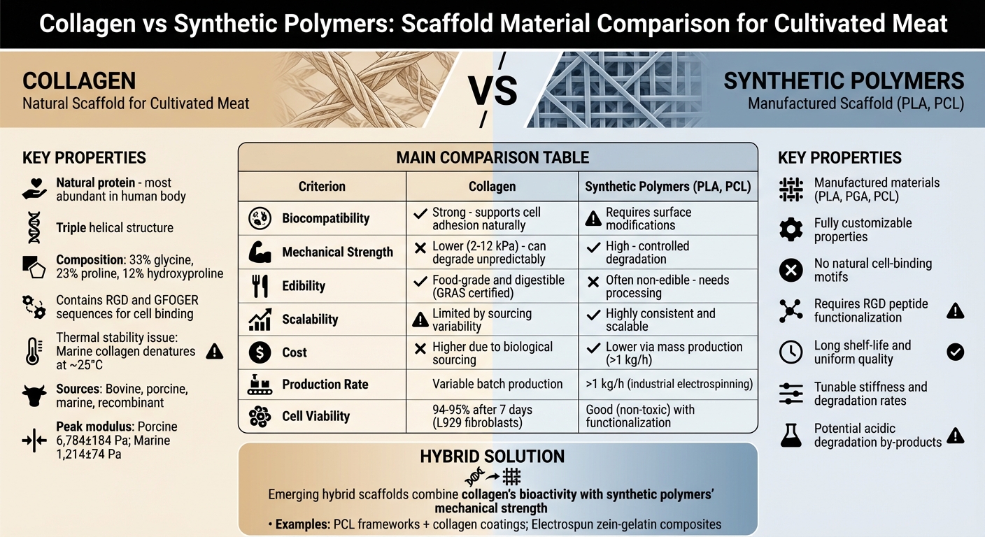 Collagen vs Synthetic Polymers Scaffold Comparison for Cultivated Meat
