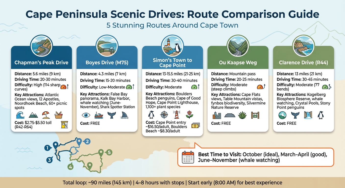 Cape Peninsula Scenic Drives Comparison: Routes, Distances, and Attractions