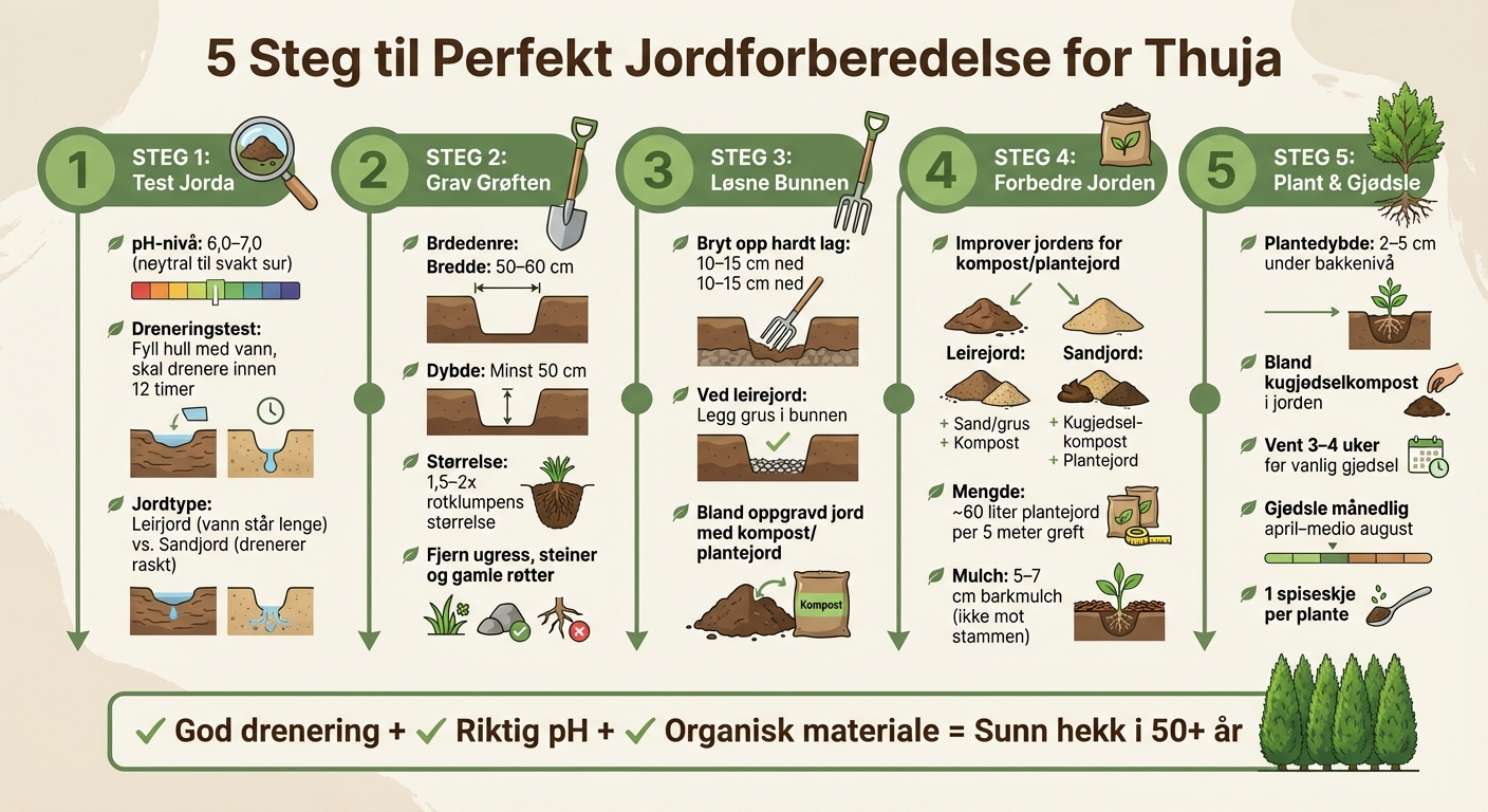 Steg-for-steg guide til jordforberedelse for thuja