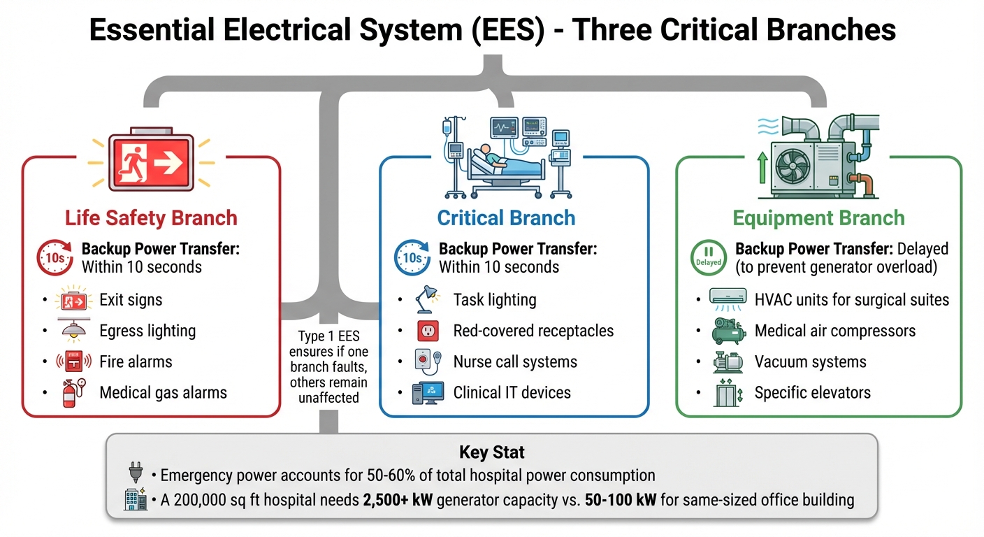 Essential Electrical System (EES) Branches in Healthcare Facilities