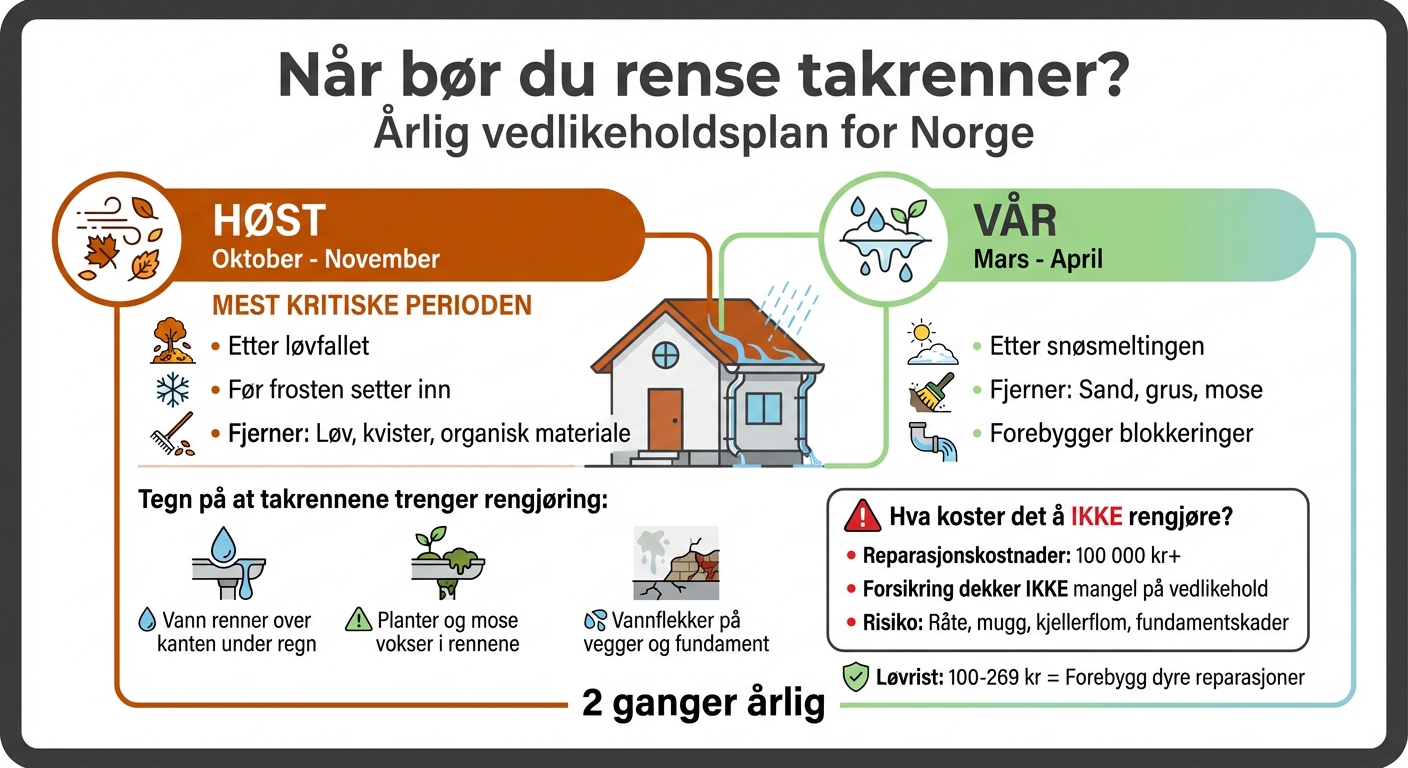 Når du bør rense takrenner i Norge - årlig vedlikeholdsplan