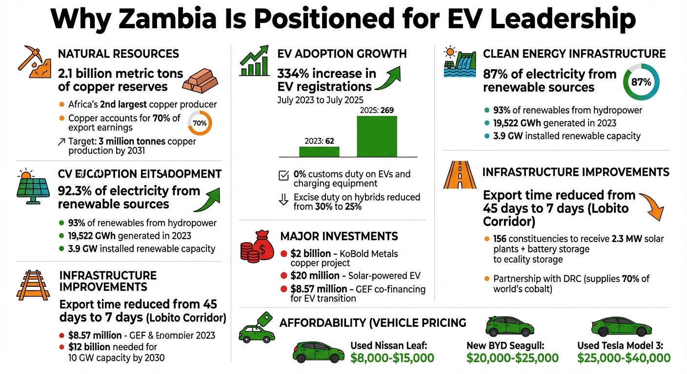 Zambia's EV Industry Advantages: Key Statistics and Resources