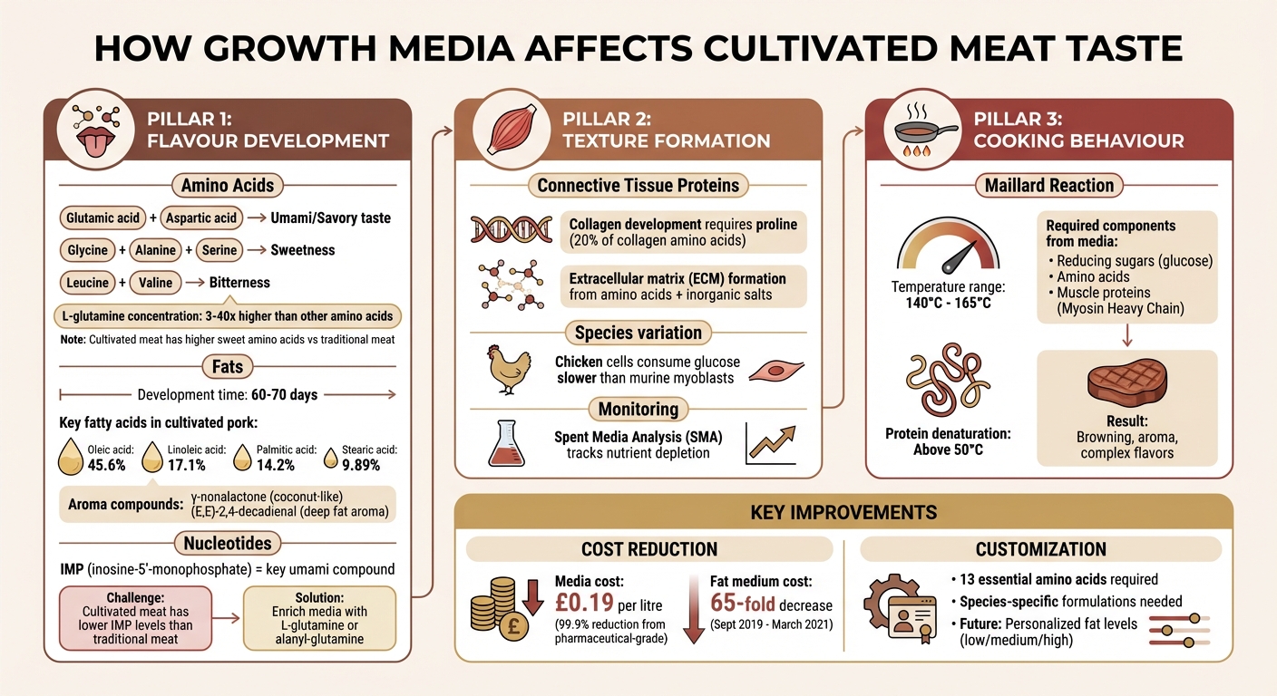 How Growth Media Components Influence Cultivated Meat Flavor Profile
