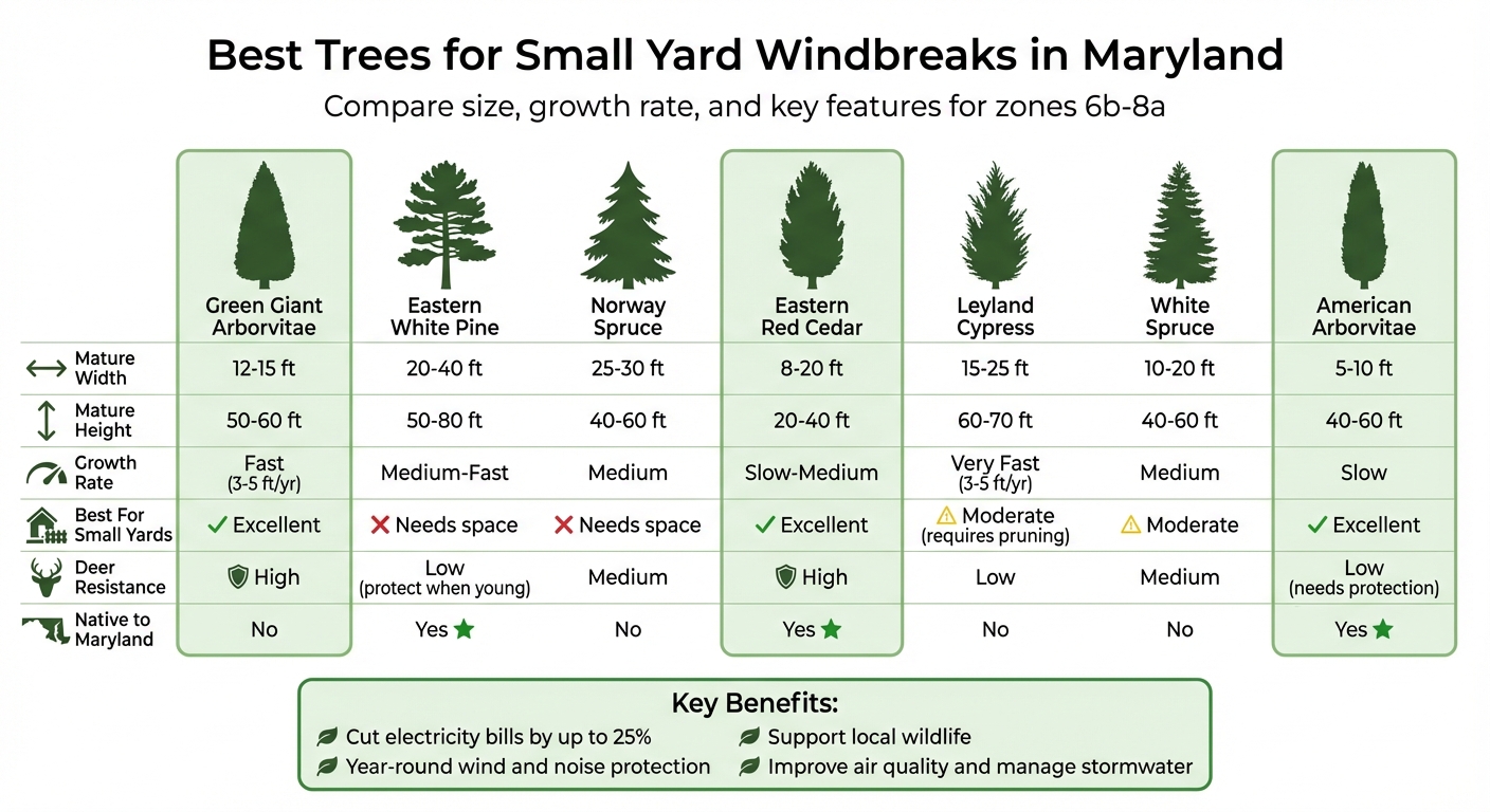 Best Windbreak Trees for Small Maryland Yards: Size and Growth Comparison Chart
