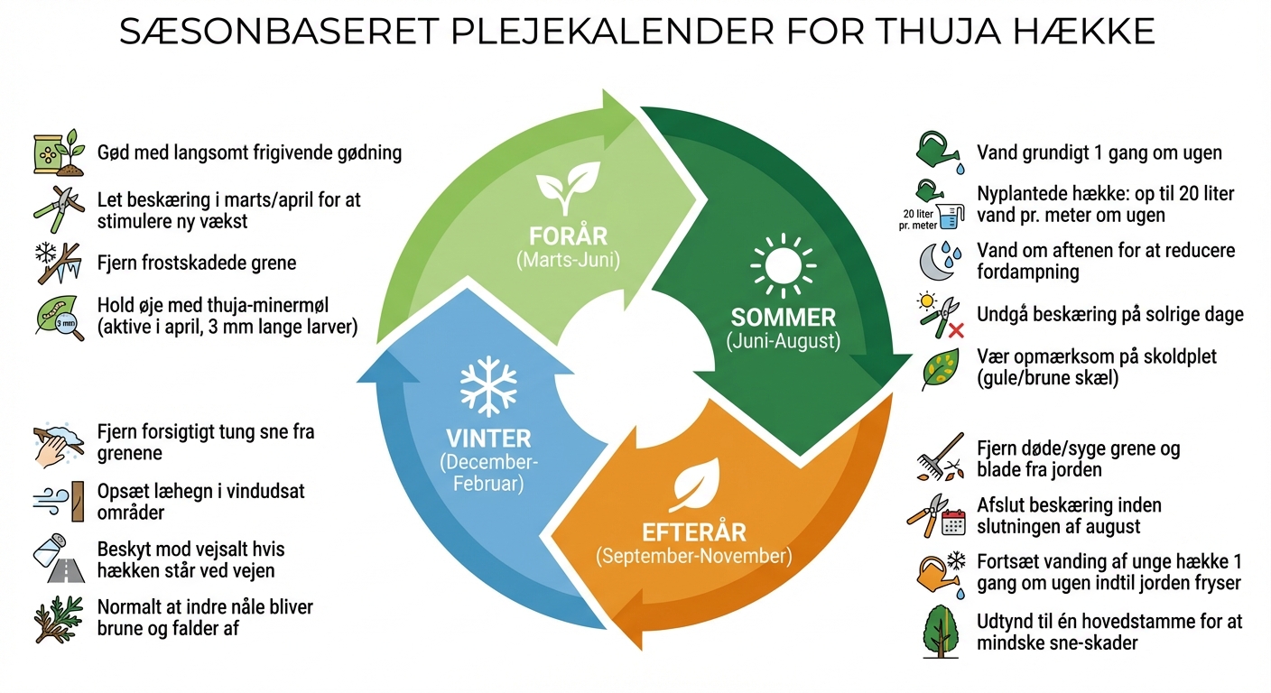 Sæsonbestemt plejekalender for thujahække - forårs-, sommer-, efterårs- og vinterpleje