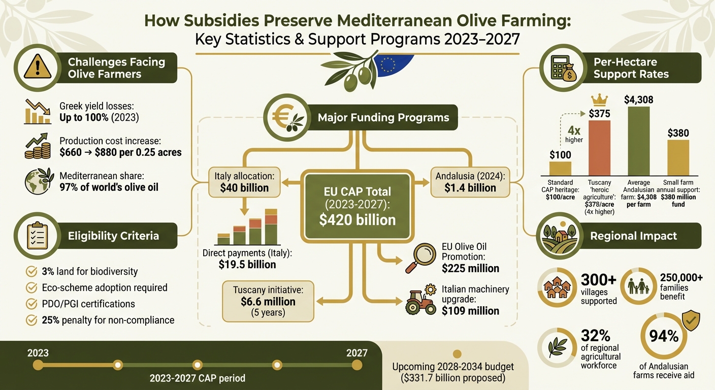 Mediterranean Olive Farming Subsidies: Key Statistics and Financial Support 2023-2027
