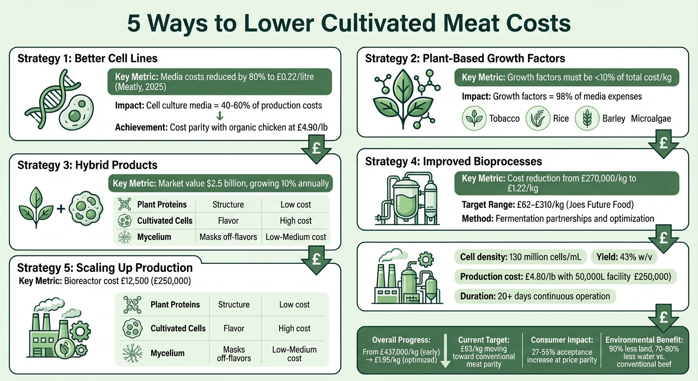 5 Strategies to Reduce Cultivated Meat Production Costs