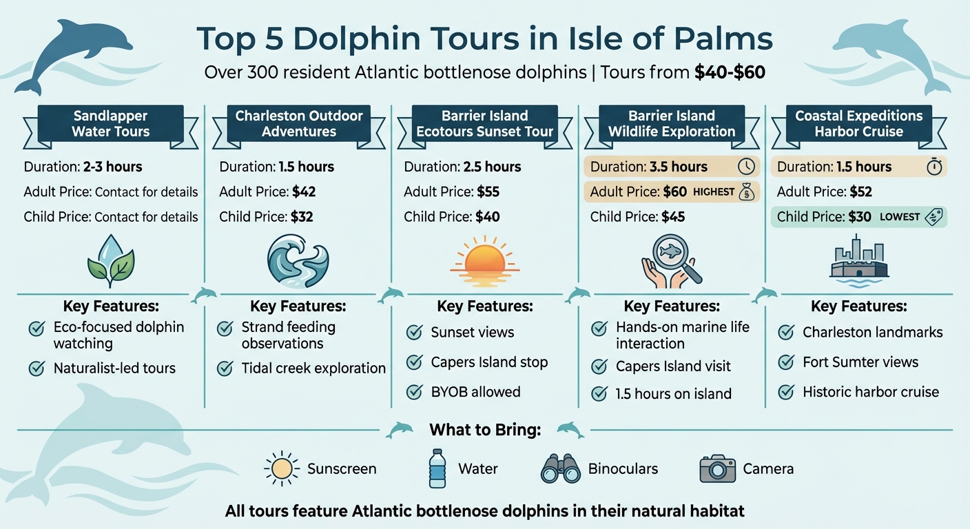 Isle of Palms Dolphin Tours Comparison: Prices, Duration & Features