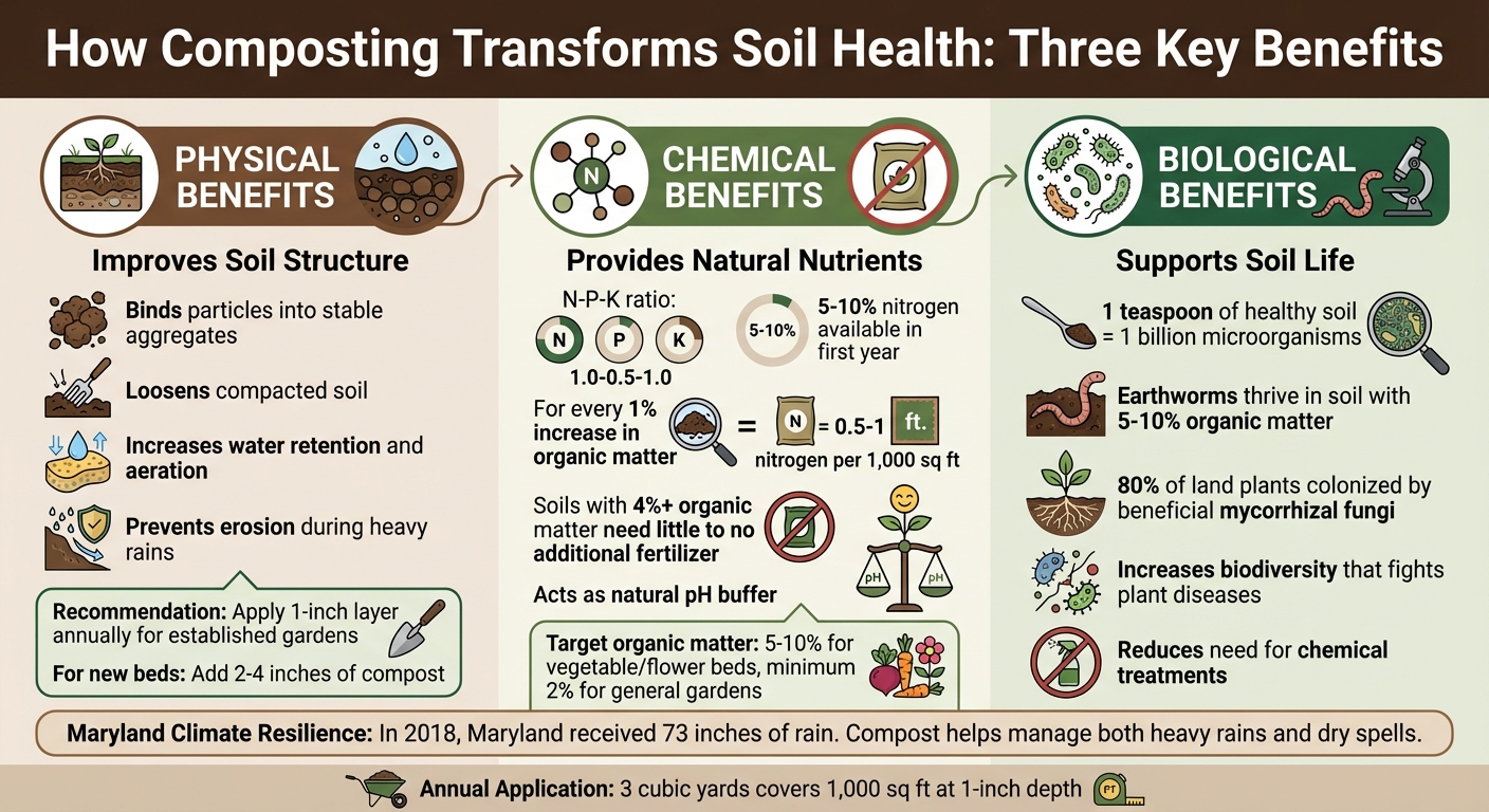 How Compost Improves Soil: Physical, Chemical, and Biological Benefits