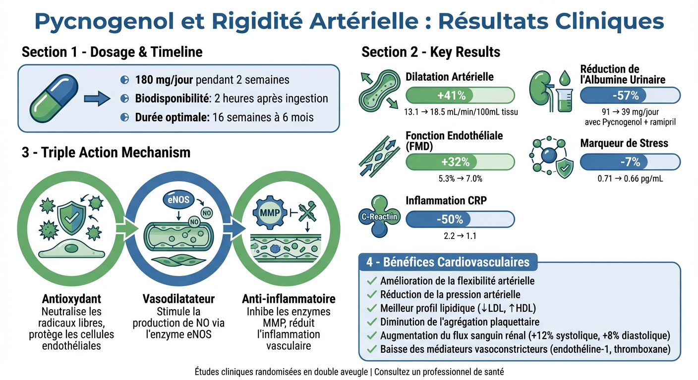 Pycnogenol Benefits: Clinical Results for Arterial Health and Cardiovascular Function