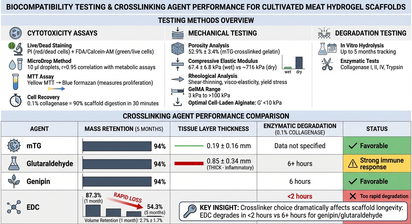 Biocompatibility Testing Methods and Crosslinking Performance Comparison for Hydrogel Scaffolds